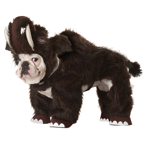 Mammoth Dog Costume