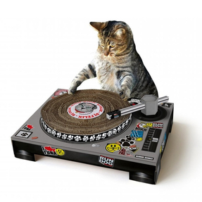 CAT SCRATCHING DJ DECKS