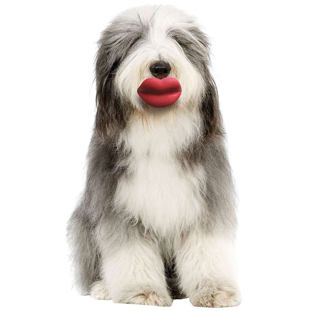 Lips Dog Toy
