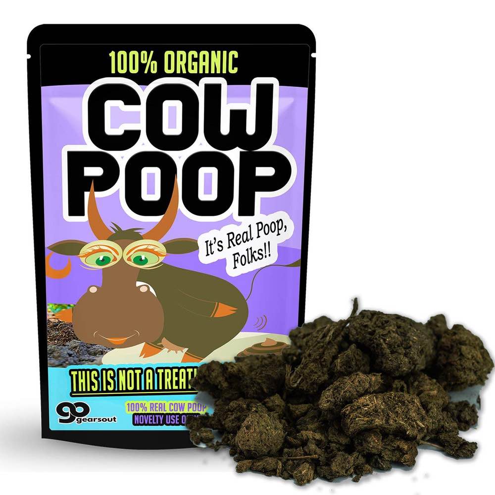 Real Cow Poop